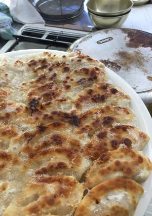 羽根つき餃子-レシピのメイン写真