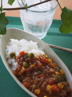【材料2つだけ!】10分でキーマカレー-レシピのメイン写真