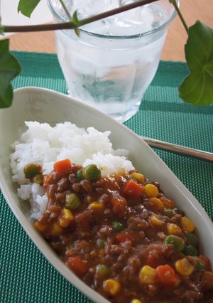 【材料2つだけ！】10分でキーマカレー-レシピのメイン写真