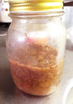 簡単！レーズン酵母の作り方(覚書)-レシピのメイン写真