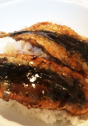 イワシ丼-レシピのメイン写真