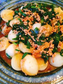新玉ねぎとニラの挽き肉炒め-レシピのメイン写真