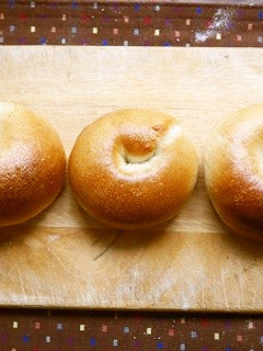 もっちりベーグル-レシピのメイン写真
