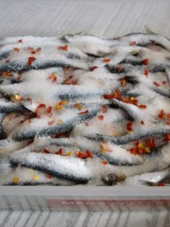 自家製アンチョビへの道-レシピのメイン写真