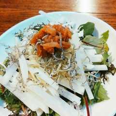 รูปของ 大根ジャコ梅サラダ。
