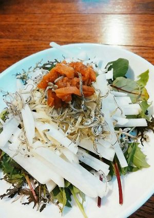 大根ジャコ梅サラダ。-レシピのメイン写真