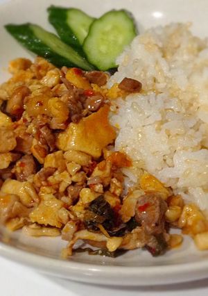 バジル 鶏肉 高野豆腐で ガパオライス-レシピのメイン写真
