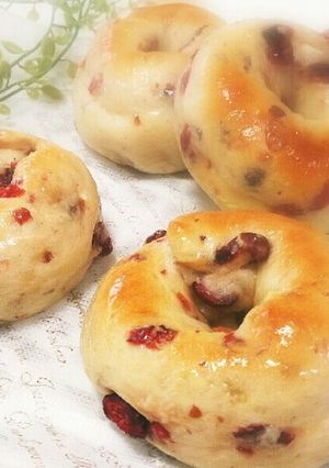 もっちりクランベリーとクリチのベーグル-レシピのメイン写真