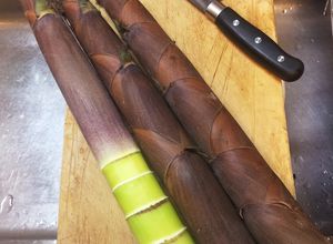 淡竹・破竹・長い筍　超かんたん下処理-レシピのメイン写真