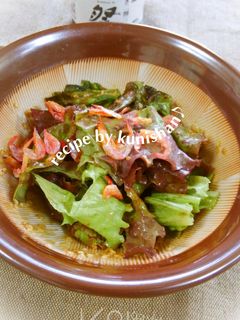 ちしゃっ葉の胡麻味噌和え♪-レシピのメイン写真