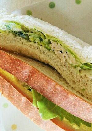 サラダチキンと野菜シャキシャキサンド-レシピのメイン写真