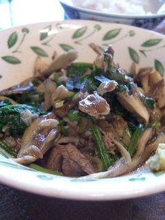 牛肉ときのこの和風オイスターソース煮-レシピのメイン写真