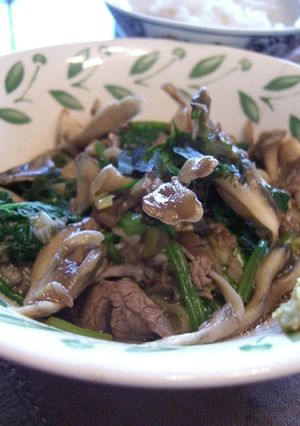 牛肉ときのこの和風オイスターソース煮-レシピのメイン写真