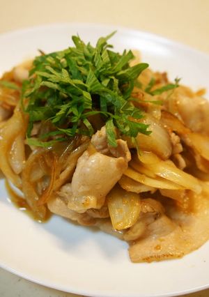 豚バラ肉と玉ねぎのさっぱり梅肉ソース炒め-レシピのメイン写真
