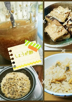 酢しょうが サタプラ-レシピのメイン写真