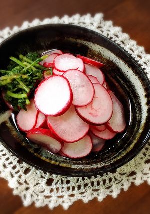 二十日大根の甘酢漬け-レシピのメイン写真