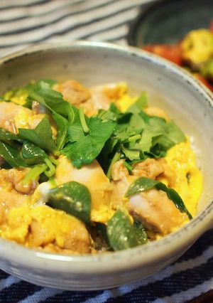 親子丼-レシピのメイン写真