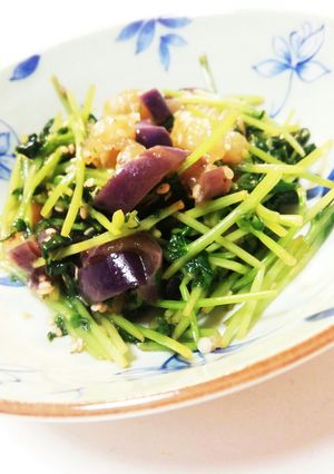 レンチンなすと豆苗のポン酢和え-レシピのメイン写真