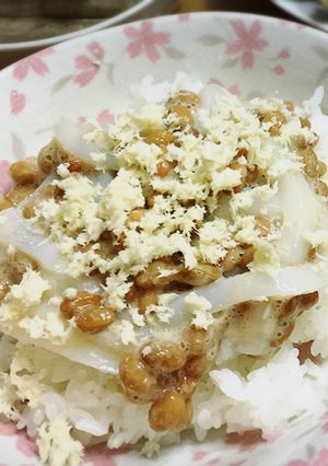 イカ納豆 山わさび-レシピのメイン写真