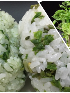 山菜食べよう!春の山菜おにぎり-レシピのメイン写真