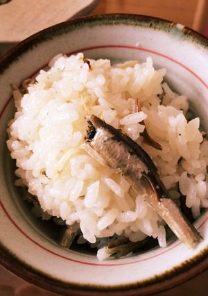 いりこめし-レシピのメイン写真