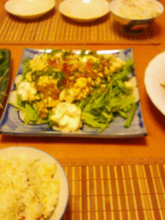 男前豆腐の薬味サラダ-レシピのメイン写真