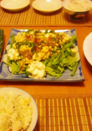 男前豆腐の薬味サラダ-レシピのメイン写真