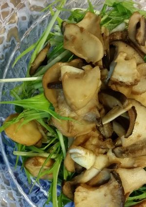 エリンギと水菜のシャキシャキサラダ-レシピのメイン写真