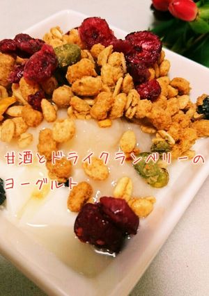甘酒とドライクランベリーのヨーグルト♥-レシピのメイン写真