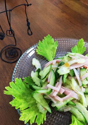 甘酸っぱい♪セロリの塩レモン和え-レシピのメイン写真