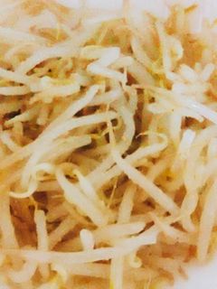 簡単/節約/もやしナムル風-レシピのメイン写真