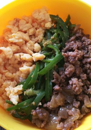 お弁当や三色丼に☆おかかピーマン-レシピのメイン写真
