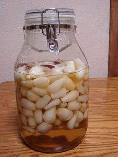 らっきょうの甘酢漬け-レシピのメイン写真
