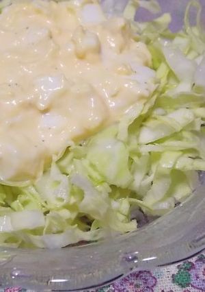 タルタルソースのせ千切りキャベツ-レシピのメイン写真