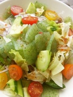 夏のきれいに☆こんにゃくサラダ-レシピのメイン写真