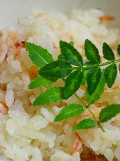 桜エビの炊き込みご飯-レシピのメイン写真