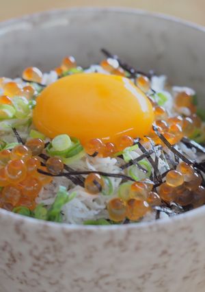 釜揚げしらす丼-レシピのメイン写真