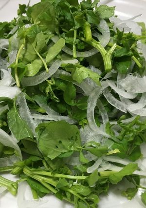 緑のお野菜大好き！クレソンサラダ-レシピのメイン写真