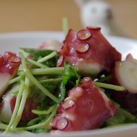 みそたこ 基本からアレンジまで！思わずつくりたくなる「たこ からし味噌