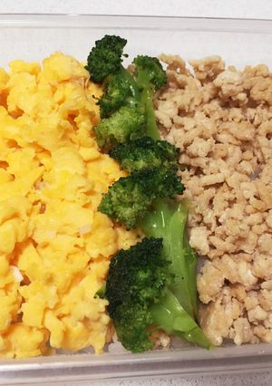 そぼろ弁当-レシピのメイン写真