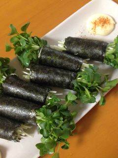 おつまみに!かいわれ海苔チーズ巻き-レシピのメイン写真