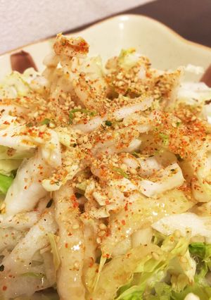 白菜だけのサラダ-レシピのメイン写真