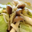 腸健康!レタス&きのこサラダ
