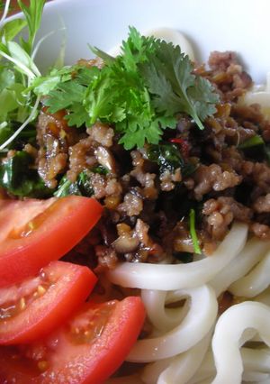 甘辛ナムプラーひき肉の冷やしうどん-レシピのメイン写真