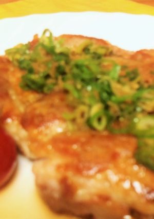 とり肉♪♪特製ネギだれソース(０^^０）-レシピのメイン写真