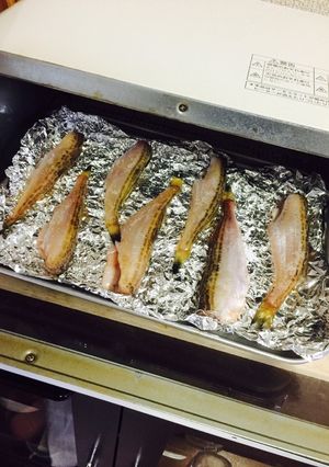 トースターでハタハタの塩焼き-レシピのメイン写真