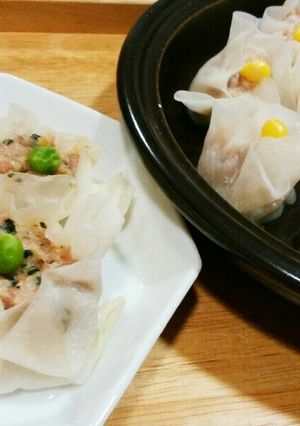 犬ご飯　ヘルシー焼売-レシピのメイン写真