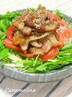 カリっと豚肉のから揚げ風生姜焼き-レシピのメイン写真
