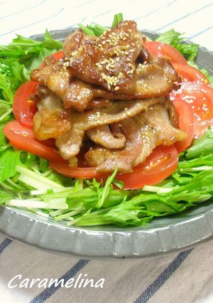 カリっと豚肉のから揚げ風生姜焼き-レシピのメイン写真