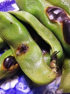 さやごと焼いてほくほくソラマメのおつまみ-レシピのメイン写真